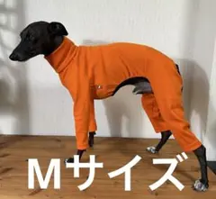 Mサイズスムースニットボディオール