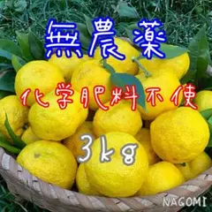 無農薬&化学肥料不使用『越生の柚子』3kg