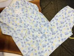 Item thumbnail for item 6c77ed8b-d1cb-4090-860e-e83f6ea4b25d