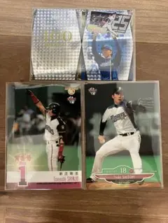 Item thumbnail for item 619277cc-f0e0-46e5-9830-7ec81854f672