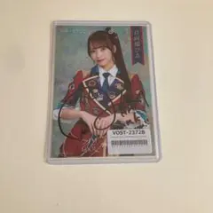 高嶺のなでしこ