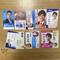 議会議員　11枚セット