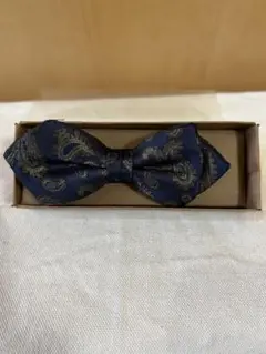 Item thumbnail for item d1dc1caf-cacf-44e9-9a65-b8603074558b