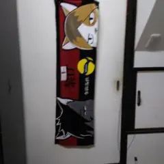 ハイキューバスタオル34cm ×120cm
