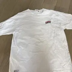 VISION STREET WEAR Tシャツ Mサイズ ホワイト