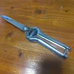 Item thumbnail for item 44a60505-d4ae-4279-a592-a9c65253c561