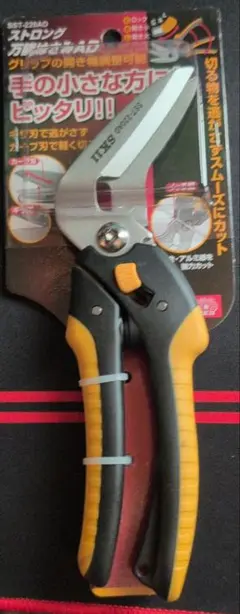 Item thumbnail for item 202810e9-3265-4519-ae6d-dad33c379656