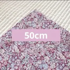 Item thumbnail for item 09f2f8d7-b6f9-4599-a342-3834e9c059a1