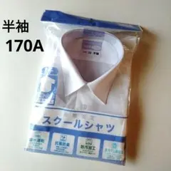 Item thumbnail for item 2b0ff699-6599-47f7-bdcf-6468247288b4