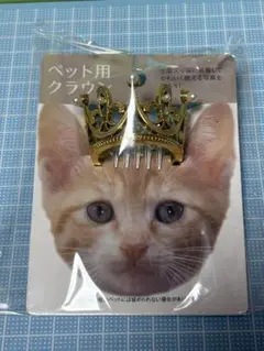 Item thumbnail for item 9c405c1f-51fc-4d9d-98c0-0c43e3a85162