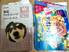 Item thumbnail for item 8db0c00a-8379-410c-8146-1c1267c6302e