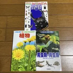 POCKET ワンダ昆虫／小学館の図鑑 植物／学研の図鑑 爬虫類・両生類 3冊
