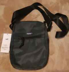 Item thumbnail for item e35dedb9-12f0-4f7e-af6a-76ba24185690