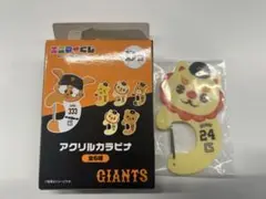 オオシーサー　カラビナ