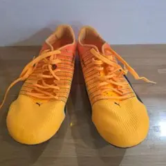 Puma evospeed tokyo future faster