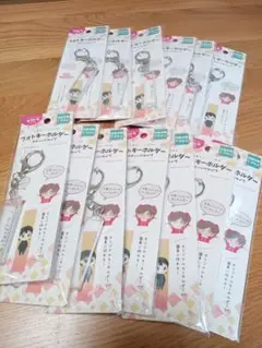 ヲタトモシリーズ フォトキーホルダー スティックタイプ 13個セット
