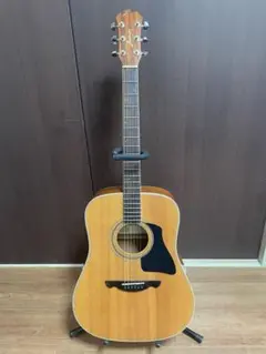 James アコースティックギター JD400 NAT 2025年最新】JD400 NATの人気アイテム - メルカリ