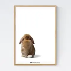 【新品】うさぎのA4サイズポスター