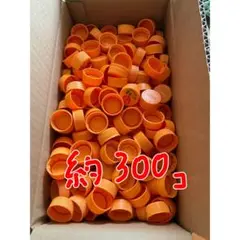 オレンジ色 キャップ 約300個