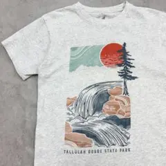 ゆるイラスト　自然　公園　半袖　プリントTシャツ　古着　杢グレー　M