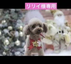 Item thumbnail for item b9ed7694-843e-461b-a945-1178a1b98ba3