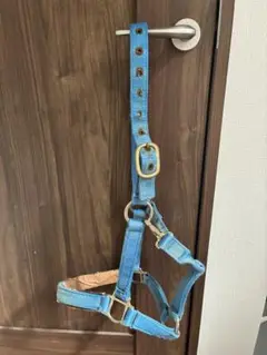 馬術　乗馬用品　水色無口確認用