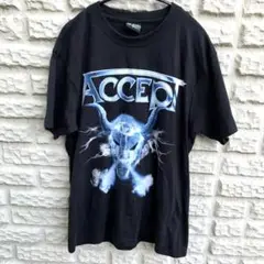 ⚡️未使用⚡️アクセプトL