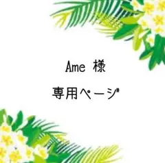 専用ページ