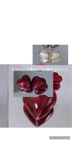 見本
