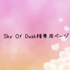 Sky Of Dusk 様　専用ページ
