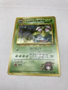 旧裏　エリカのフシギバナ