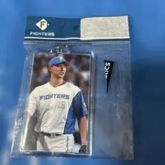 北海道日本ハムファイターズ達孝太投手⭐️キーホルダー⭐️16番
