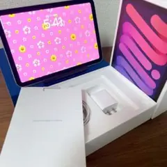 美品iPad mini 7（A17 Pro）BT100%
