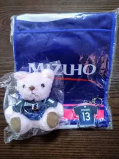 なでしこジャパン BLUE DREAM MATCH 記念グッズセット