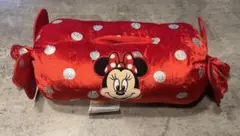 東京ディズニーリゾート　ミニー　ティッシュケース