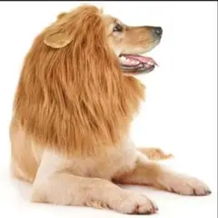 Item thumbnail for item bc9f27ca-2c19-4f9b-9ae0-61522a007e04