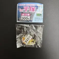 【匿名配送】平塚 街ガチャ 三秀堂くずバー