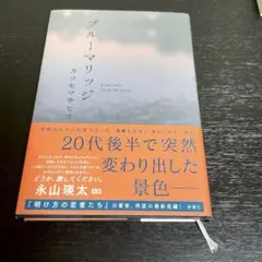 ブルーマリッジ カツセマサヒト著