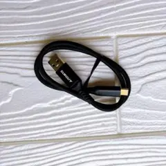 SUNGUY USB3.1 Gen2 USB Type C ケーブル 0.5m