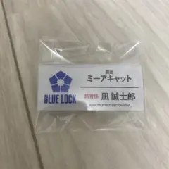 東武動物公園 ブルーロック 凪誠士郎 トレーディングアクリルネームプレート