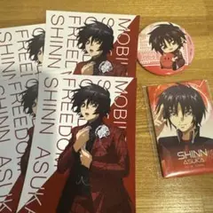 ガンダムSEEDFREEDOM シン　缶バッジ