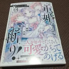 重婚なんてお断り! 絶対に双子の王子を見分けてみせます!