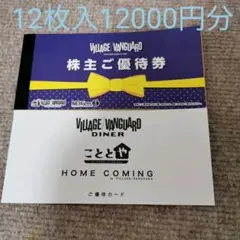 ヴィレッジバンガード株主優待券12枚 ヴィレッジヴァンガード 12000円分