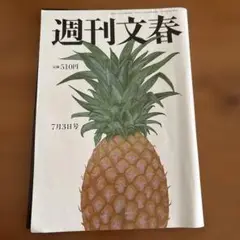 週刊文春 7月3日号