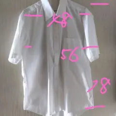 Item thumbnail for item bc9b0fda-0d9a-4e8e-9799-e40823017d67