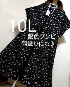大きいサイズ10L★1点限り