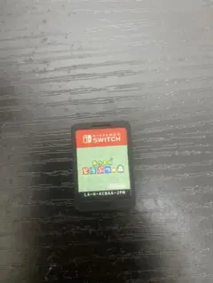 Nintendo Switch ソフト あつまれどうぶつの森