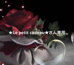 ★Le petit cadeau★さん専用
