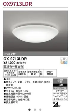 ODELIC オーデリック OX9713LDR