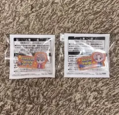 RIIZE ライズ のすたるぽっぷ おなまえアクリルバッジ アントン ウンソク